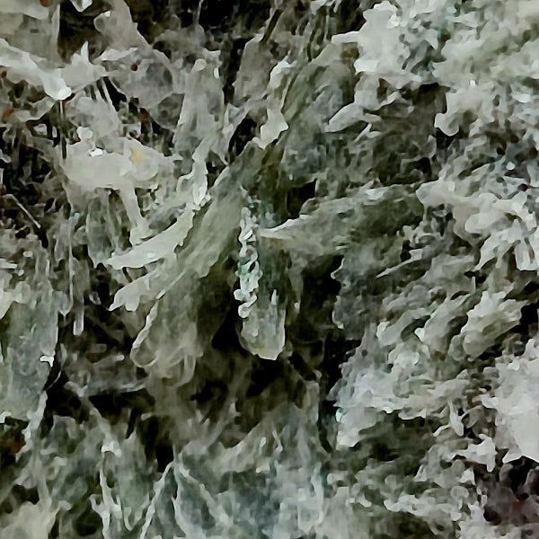 Granate Var. Hessonita, Diopsido