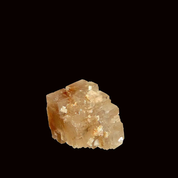 Halita