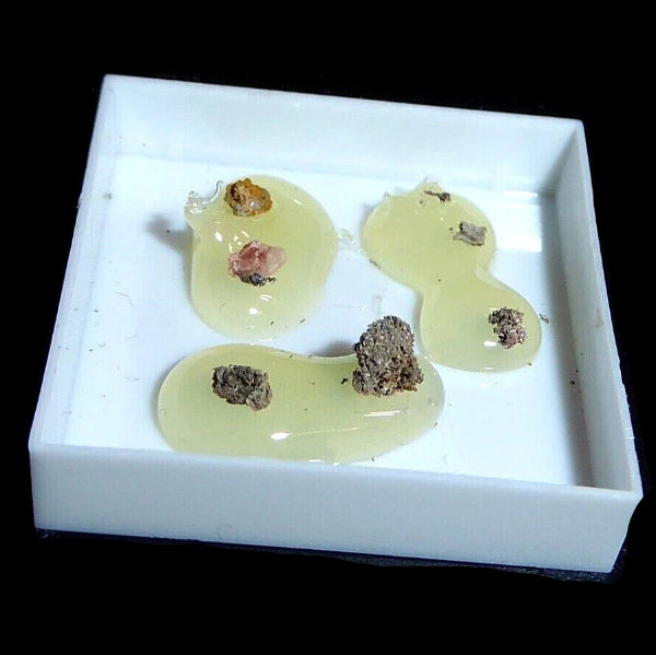 Plata Nativa