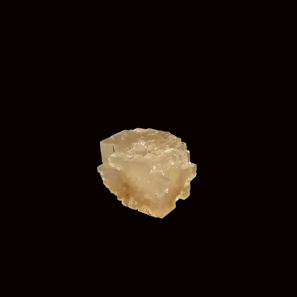 Halita