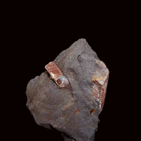 Andalucita Var. Quiastolita