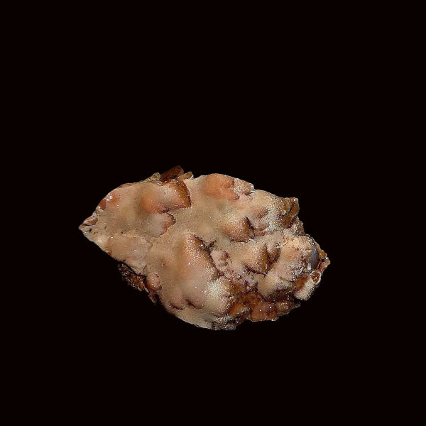 Chalcedony Var. Quartz