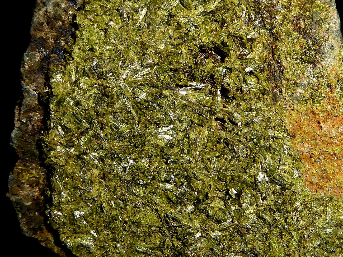 Epidota