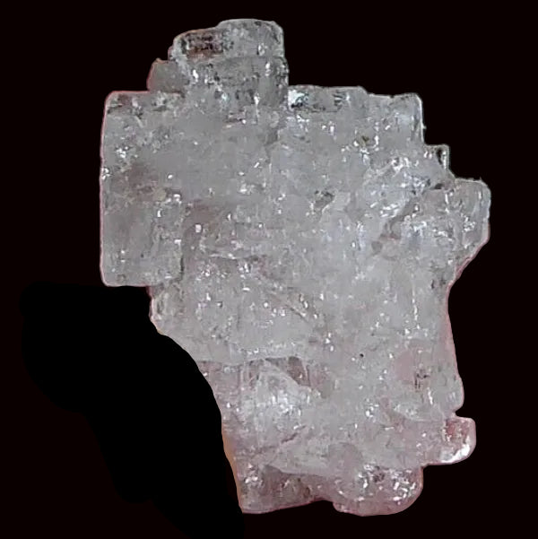 Halita