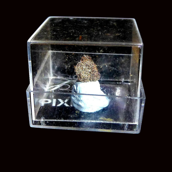 Plata nativa