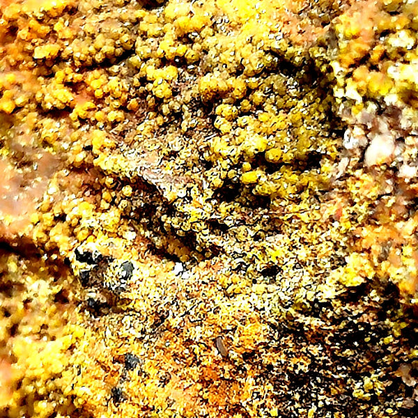 Campilite var. Mimetite, Cerussite