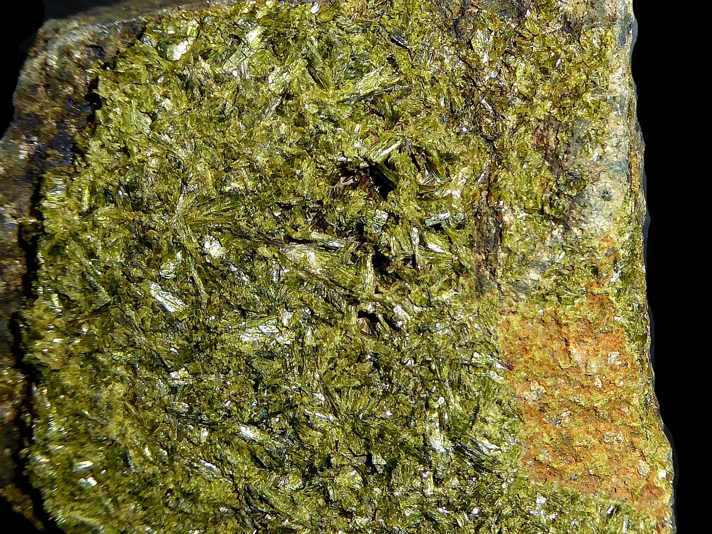 Epidota