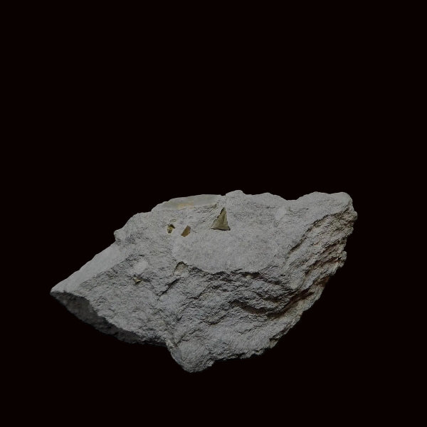 Pirita