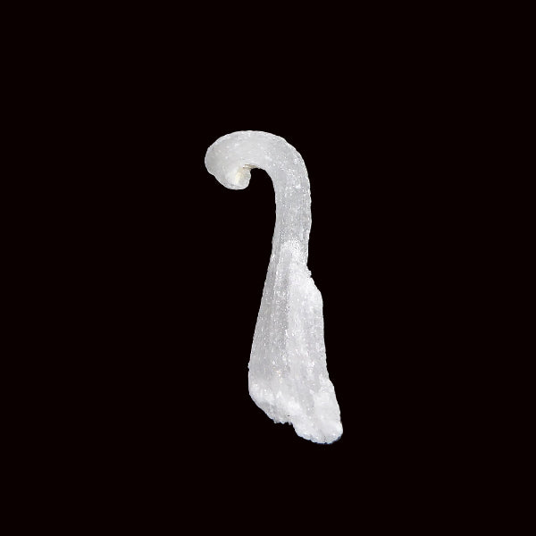 Gips
