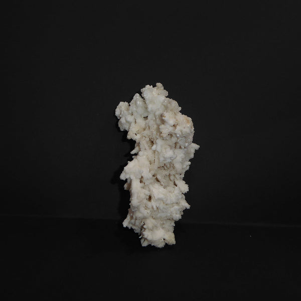 Coralloid Aragonite