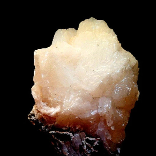 Estilbita