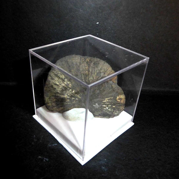 Pyrite « Soleil »