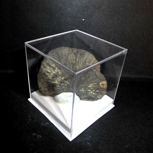 Pyrite « Soleil »