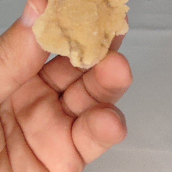 www.ptmutantminerals.com