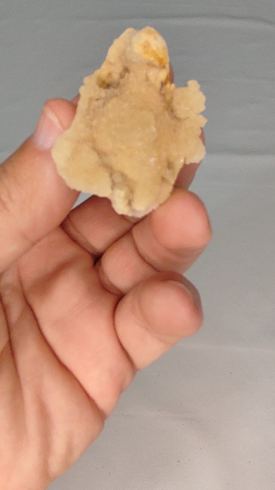 www.ptmutantminerals.com