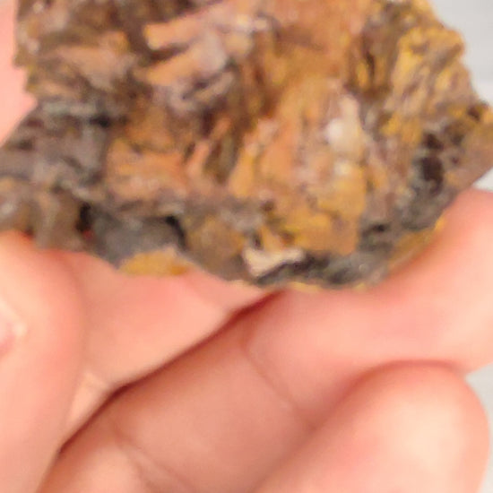 ww.ptmutantminerals.com