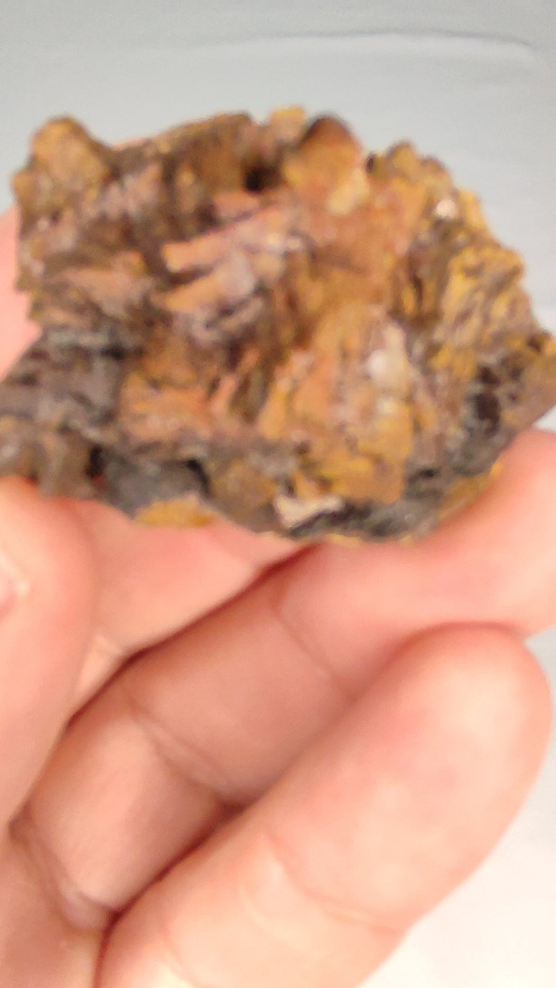 ww.ptmutantminerals.com