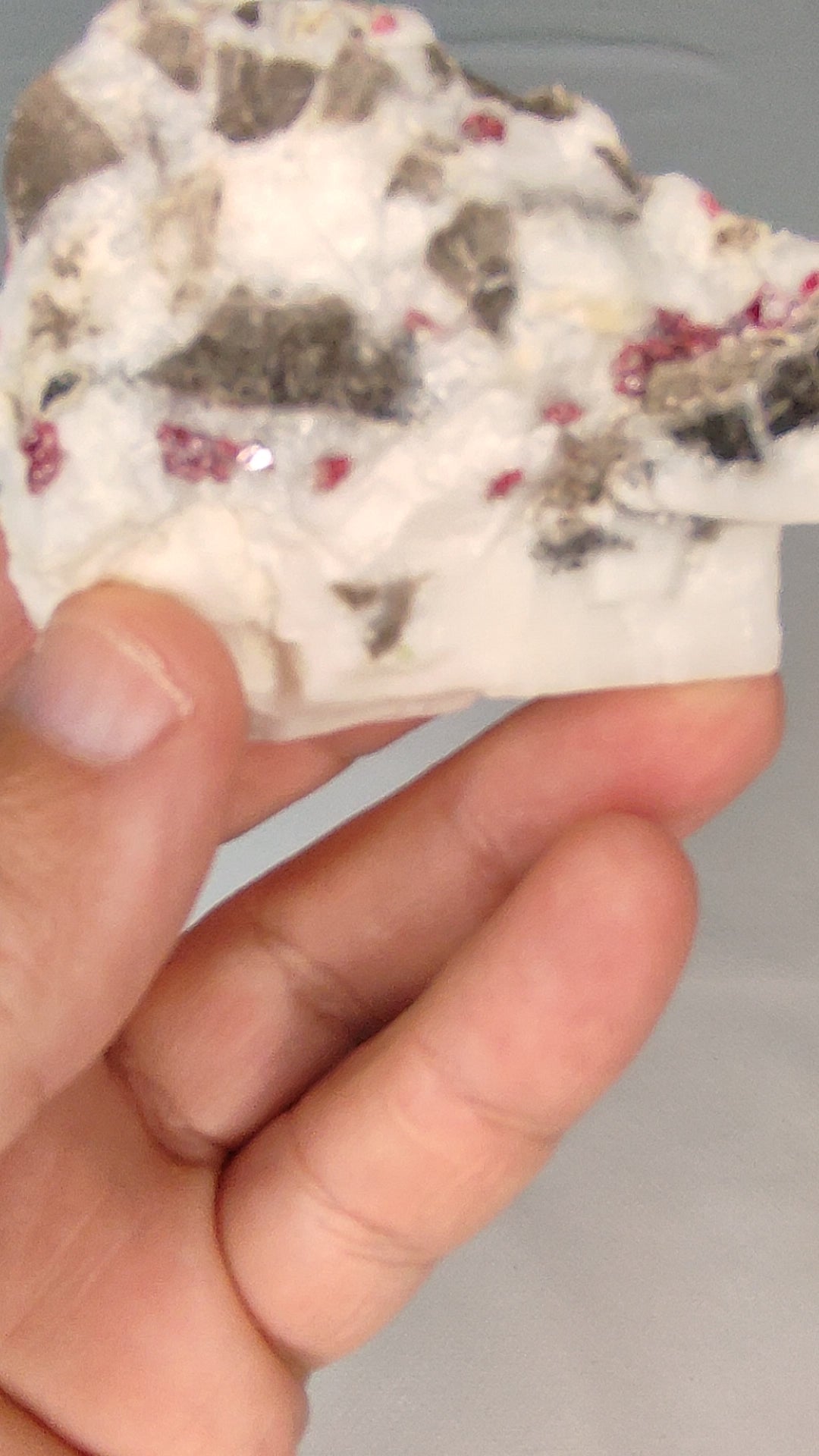 www.ptmutantminerals.com