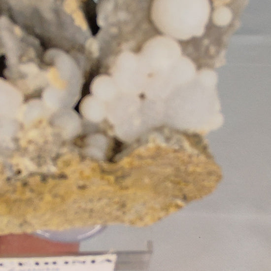 www.ptmutantminerals.com