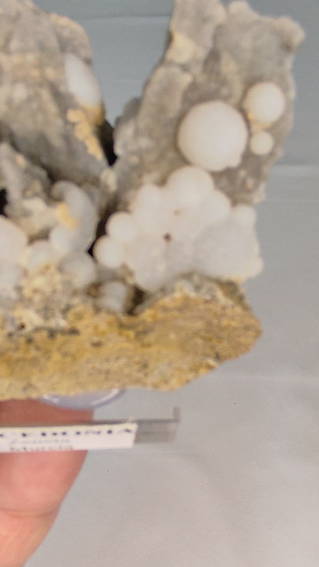 www.ptmutantminerals.com
